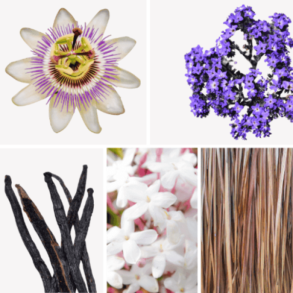 Duftnoten: Passionsblume, Vanille, Vetiver, Jasmin, Heliotrop